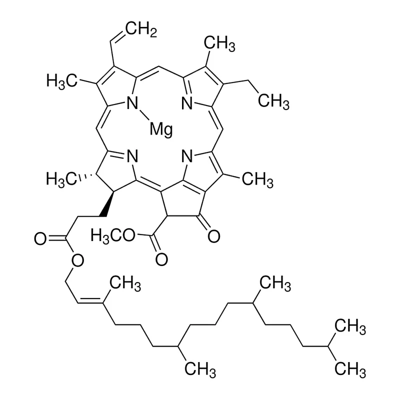 Merck Chlorophyll a