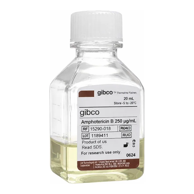Thermo Fisher Scientific Amphotericin B, 20_L