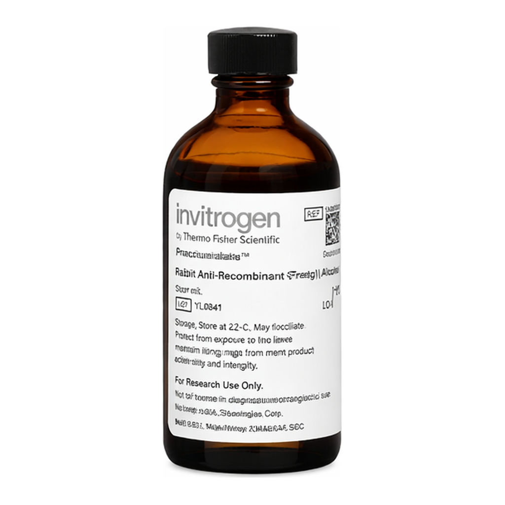 Thermo Fisher Scientific UltraPure Phenol:Chloroform:Isoamyl Alcohol (25:24:1, v/v), 100 mL