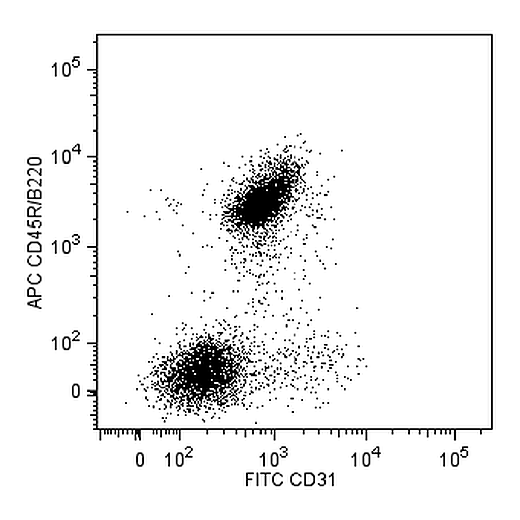 BD FITC Rat Anti-Mouse CD31