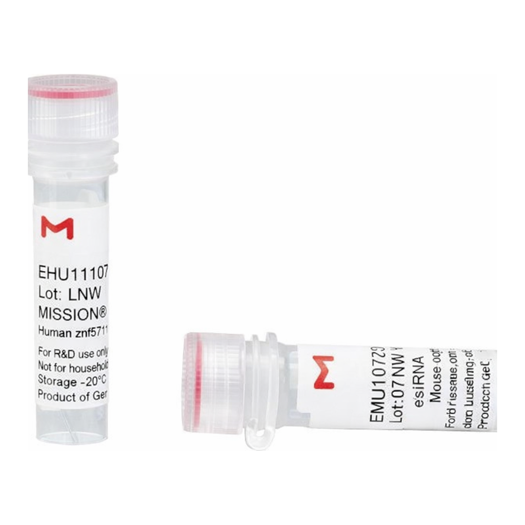 Merck MISSION(R) esiRNA