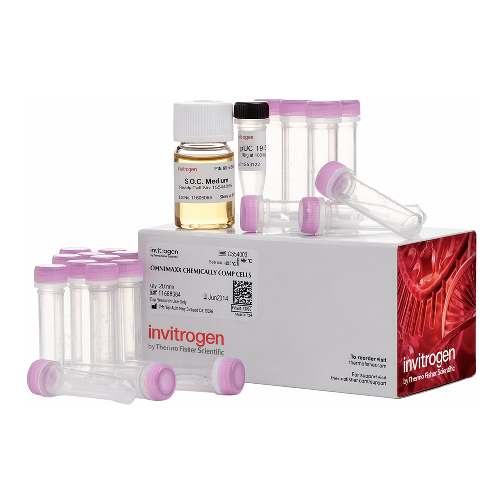 Thermo Fisher Scientific One Shot OmniMAX 2 T1<sup>R</sup> Chemically Competent E. coli