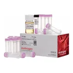 Thermo Fisher Scientific One Shot OmniMAX 2 T1<sup>R</sup> Chemically Competent E. coli