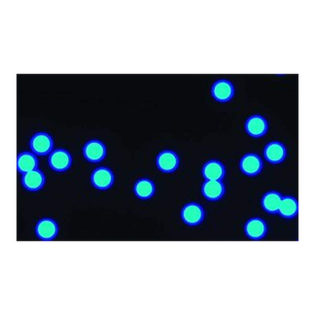 Merck MICRO PARTICLES BASED ON POLYMETHACRYLAT