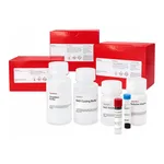 Merck FLUOROMETRIC INTRACELLULAR ROS KIT