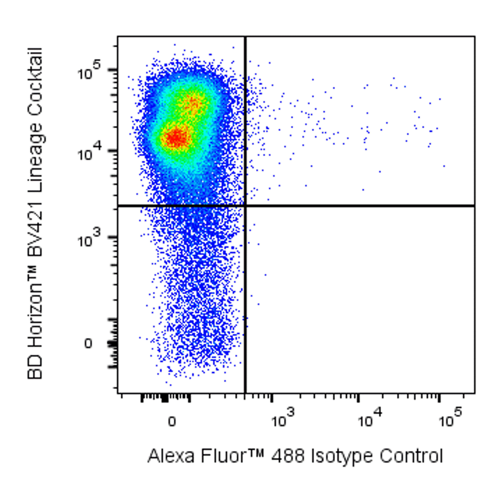 BD Alexa Fluor 488 Rat Anti-Mouse CD34