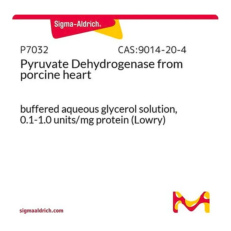 Merck Pyruvate Dehydrogenase from porcine heart