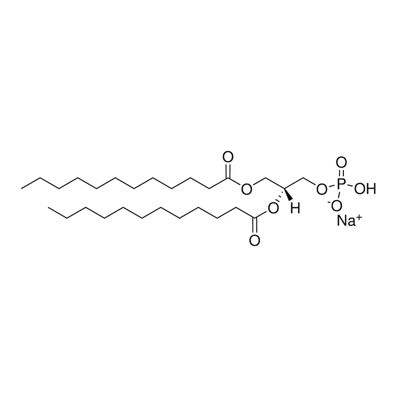 Merck 12:0 PA