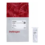 Thermo Fisher Scientific FocalCheck Fluorescence Microscope Test Slide #1, for alignment, intensity, & calibration