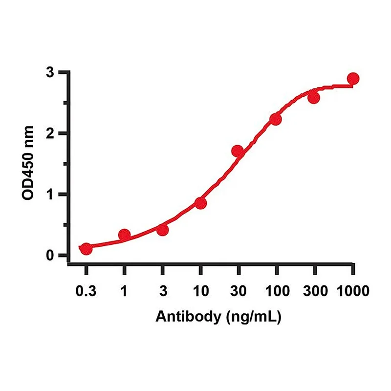 Merck Anti-SARS-CoV-2 (COVID-19) NSP4 antibody produced in rabbit