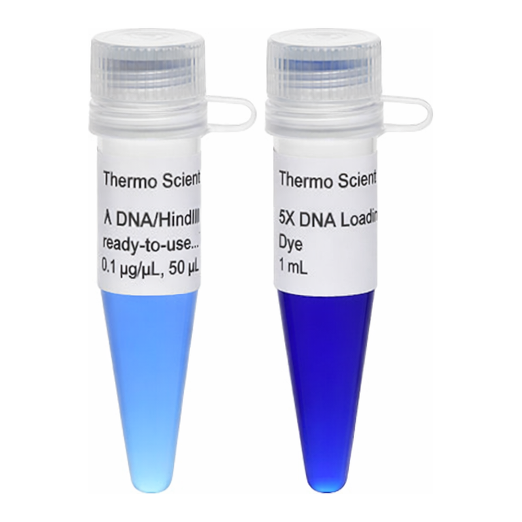 Thermo Fisher Scientific Lambda DNA/HindIII Marker, ready-to-use