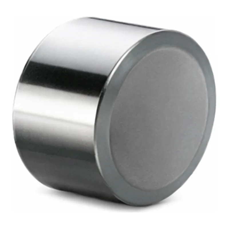 Waters XTerra Shield RP8 Prep Guard Cartridge, 125Å, 10 µm, 19 mm X 10 mm, 1/pk