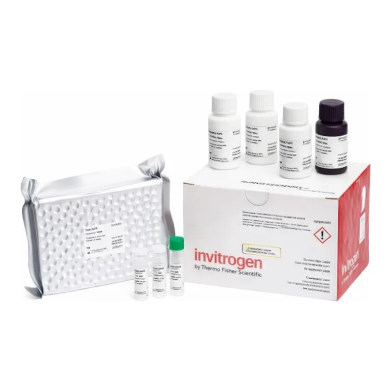 Thermo Fisher Scientific Human MIS/AMH Rapid ELISA Kit