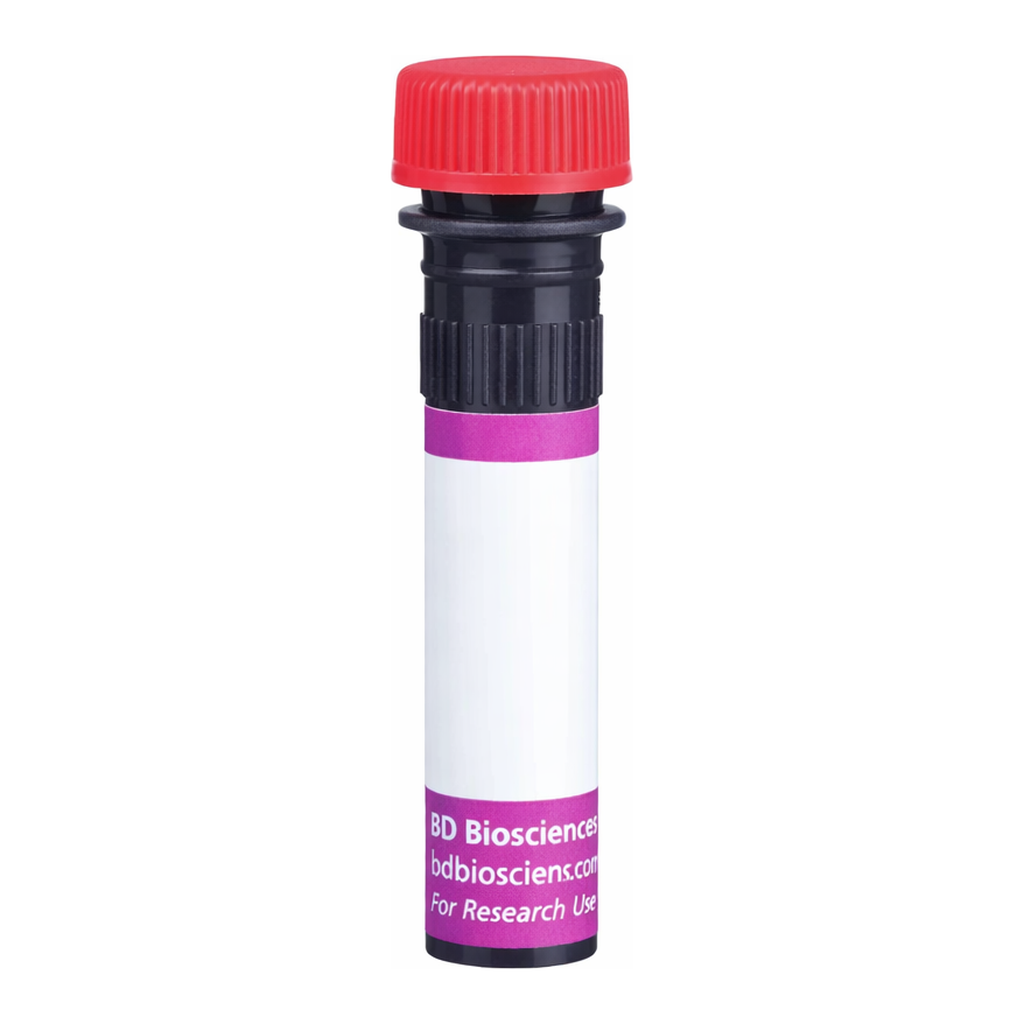 BD BV711 Rat IgG2a, κ Isotype Control