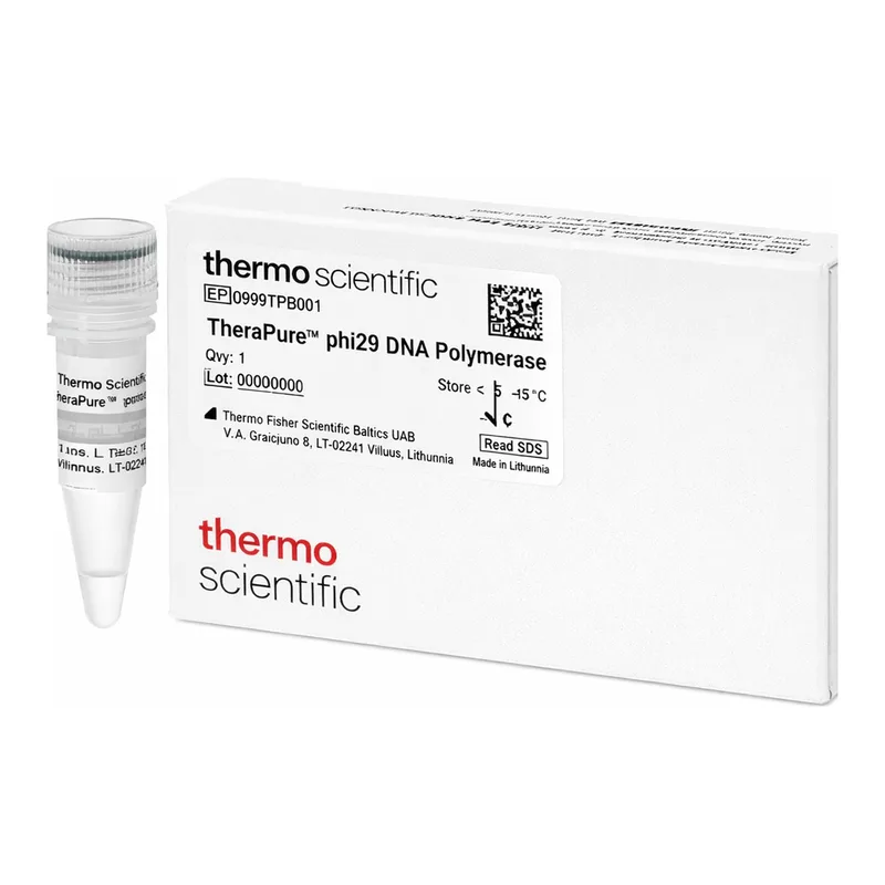 Thermo Fisher Scientific TheraPure phi29 DNA Polymerase (10 U/μL)