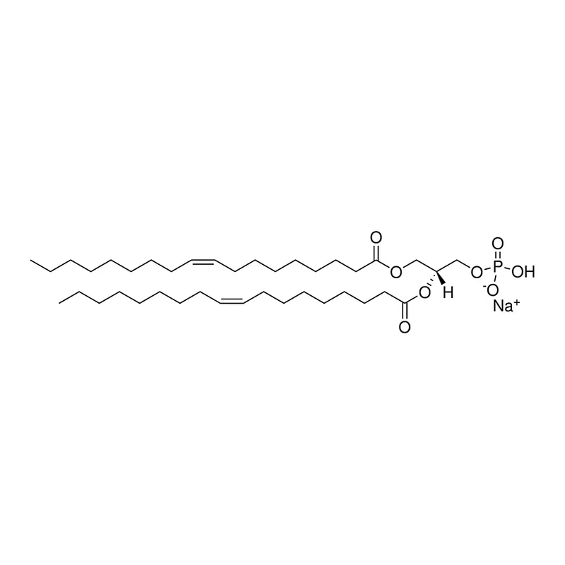 Merck 18:1 PA