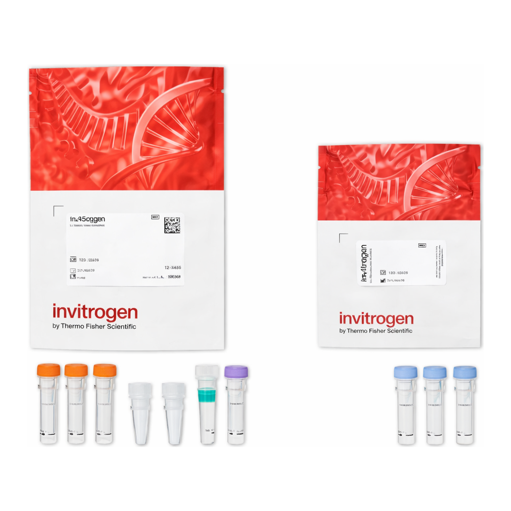 Thermo Fisher Scientific Alexa Fluor 555 Microscale Protein Labeling Kit