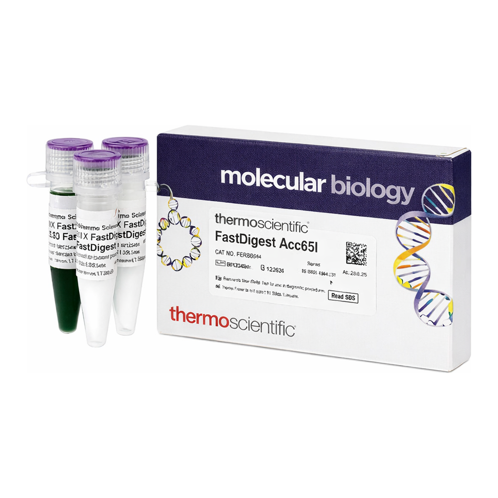 Thermo Fisher Scientific FastDigest Acc65I