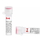 Merck MISSION(R) esiRNA