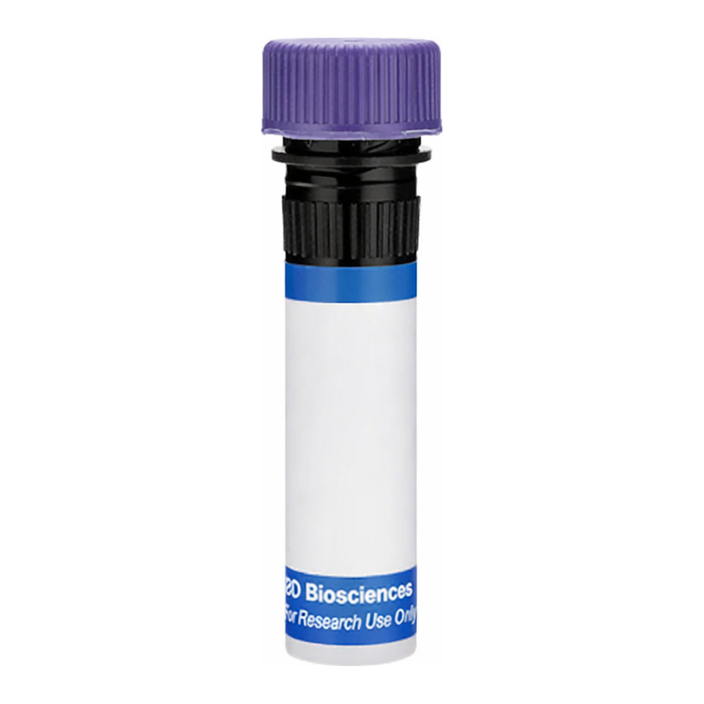 BD RB744 Mouse Anti-Human P-glycoprotein (CD243)