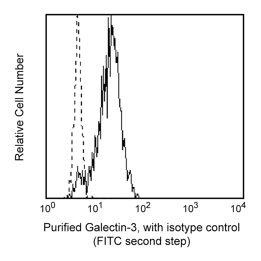 BD Purified Mouse Anti-Human Galectin-3