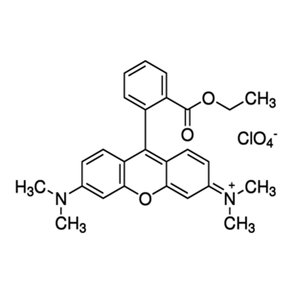Merck TETRAMETHYLRHODAMINE ETHYL ESTER PERCHL&