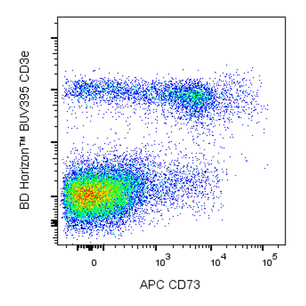 BD APC Rat Anti-Mouse CD73