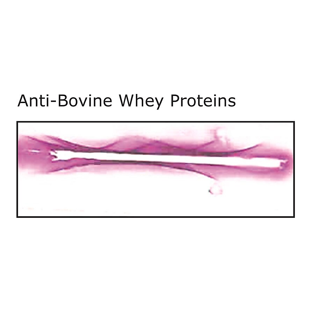 Merck Anti- Bovine Whey Proteins, antibody produced in rabbit
