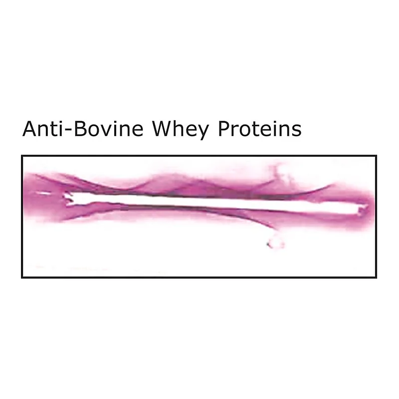 Merck Anti- Bovine Whey Proteins, antibody produced in rabbit