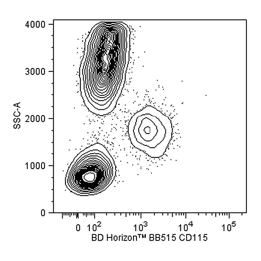 BD BB515 Rat Anti-Human CD115 (CSF-1R)