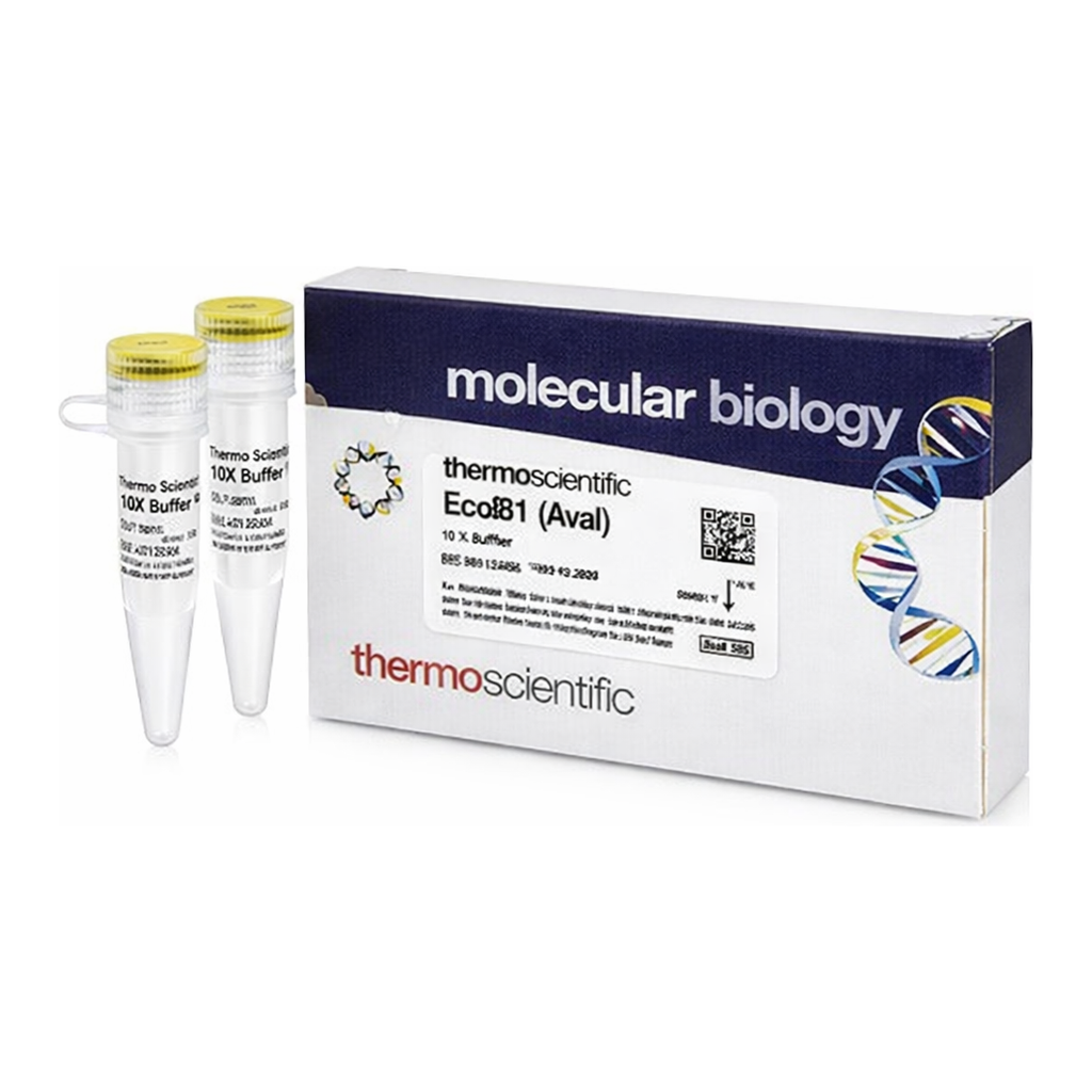 Thermo Fisher Scientific Eco88I (AvaI) (10 U/&mu;L)