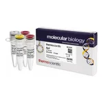 Thermo Fisher Scientific AjuI (5 U/μL)