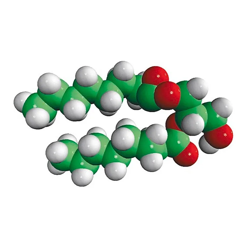 Merck 08:0 DG