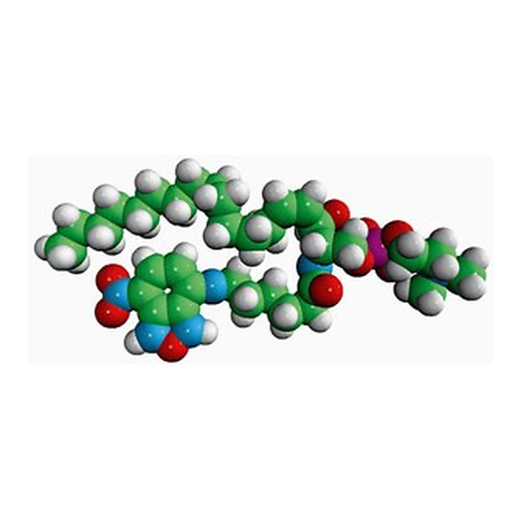 Merck C6-NBD SPHINGOMYELIN