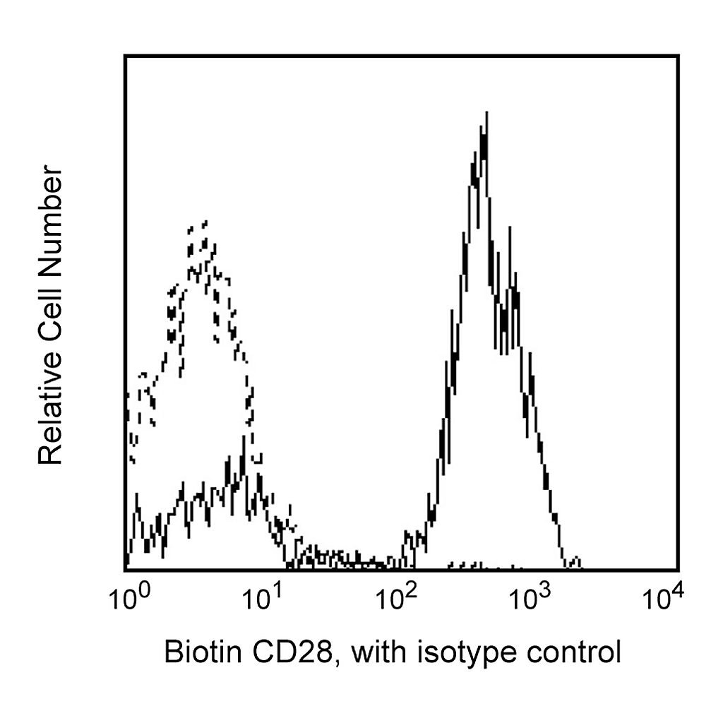 BD Biotin Mouse Anti-Human CD28