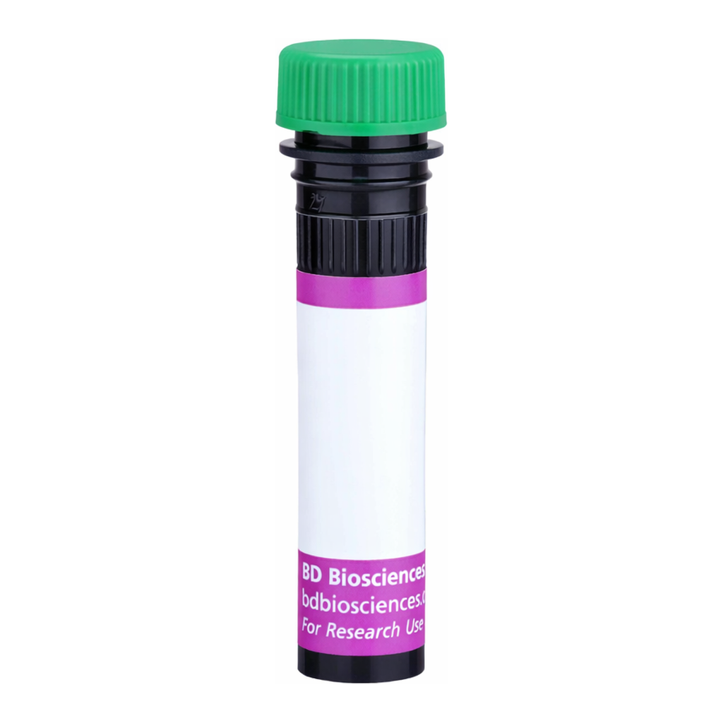 BD BV480 Rat Anti-Mouse Vα 11.1, 11.2[b,d] TCR