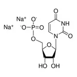 Merck URIDINE 5``-MONOPHOSPHATE DISODIUM SALT,