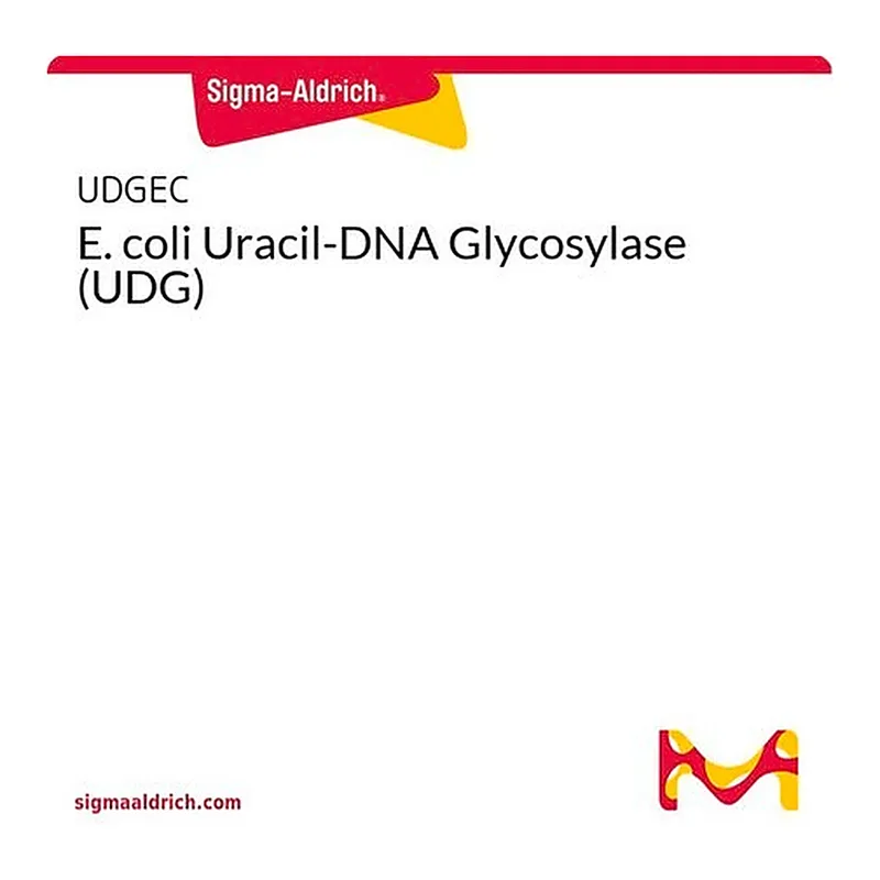 Merck E. coli Uracil-DNA Glycosylase (UDG)
