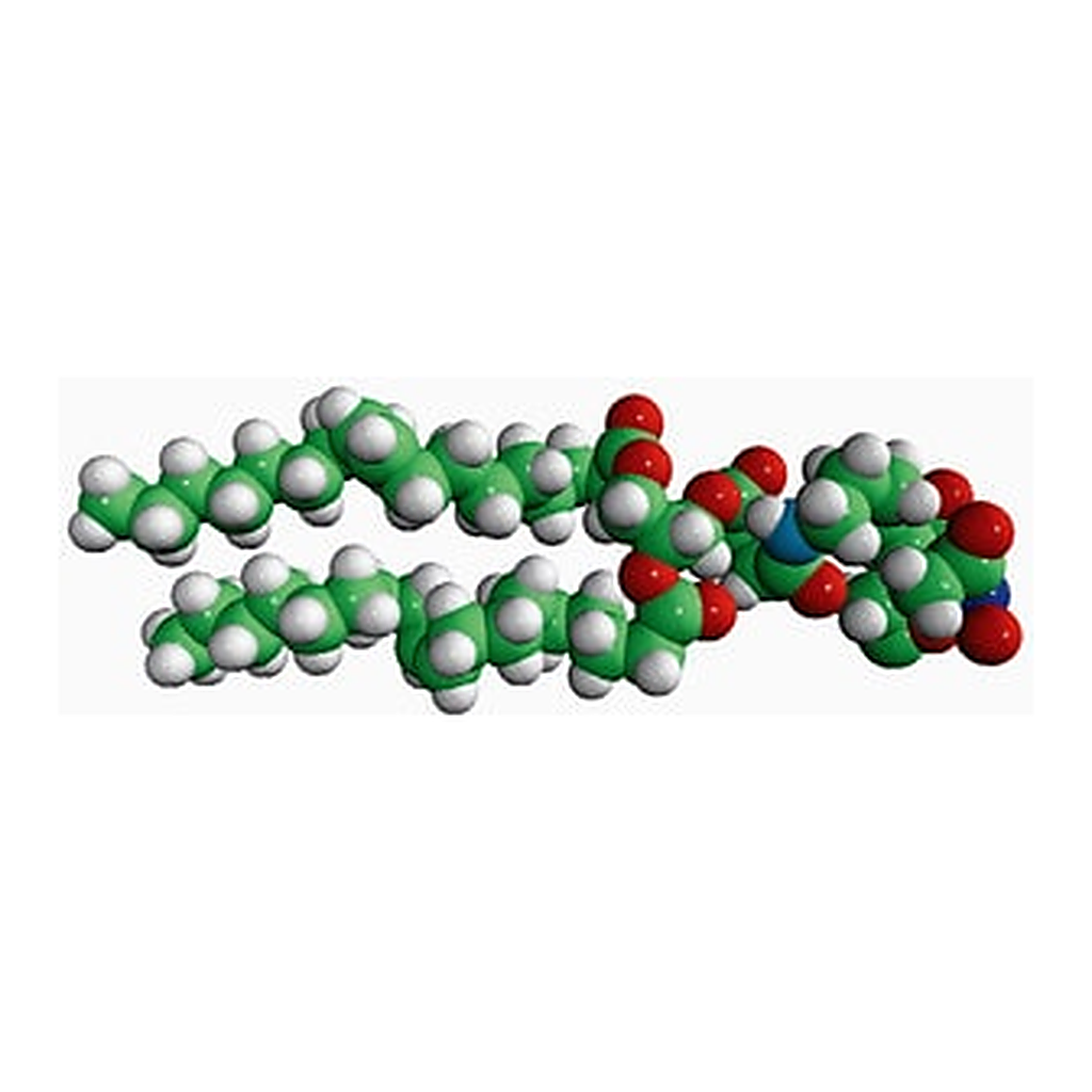 Merck 18:1 DGS-NTA(NI)