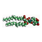 Merck 18:1 DGS-NTA(NI)