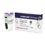 Thermo Fisher Scientific FastDigest MreI