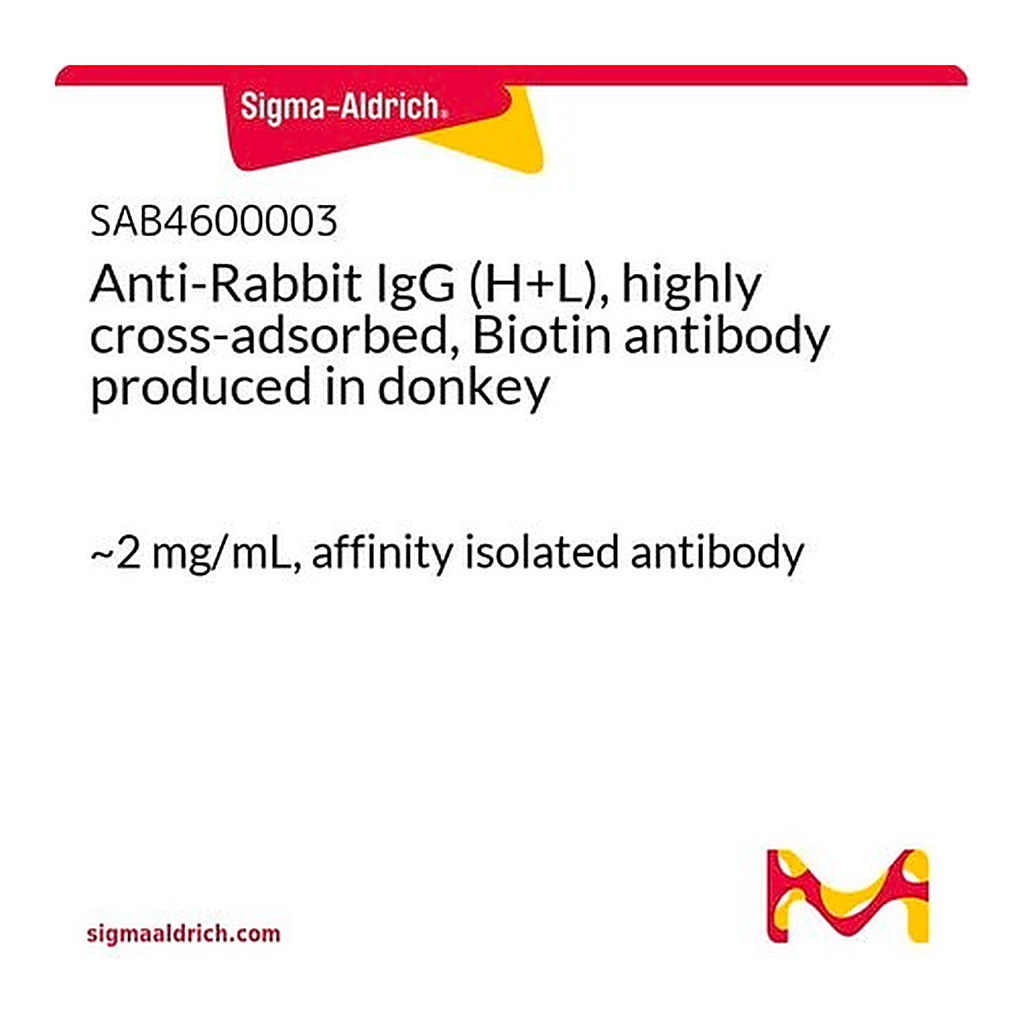 Merck Anti-Rabbit IgG (H+L), highly cross-adsorbed, Biotin antibody produced in donkey