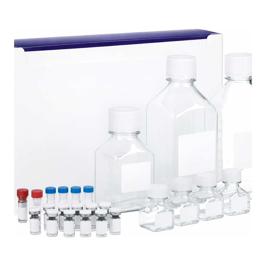 BD Mouse Enhanced Sensitivity Master Buffer Kit