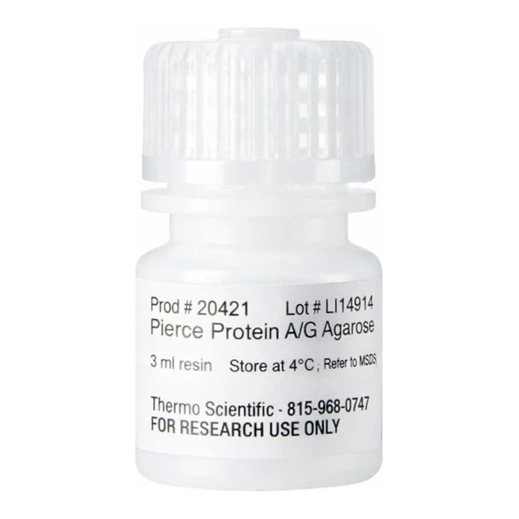 Thermo Fisher Scientific Pierce Protein A/G Agarose, 3 mL