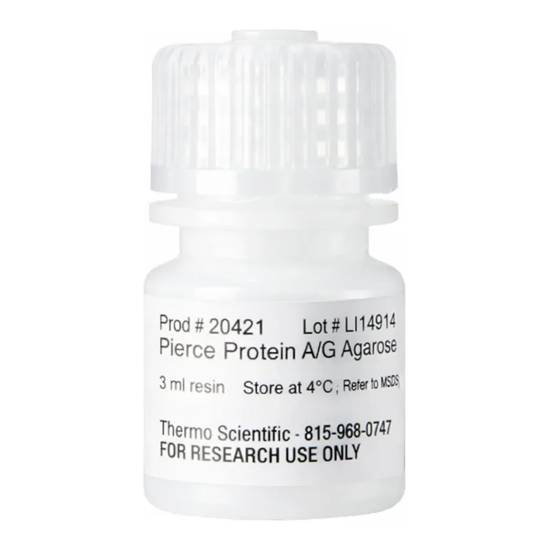 Thermo Fisher Scientific Pierce Protein A/G Agarose, 3 mL