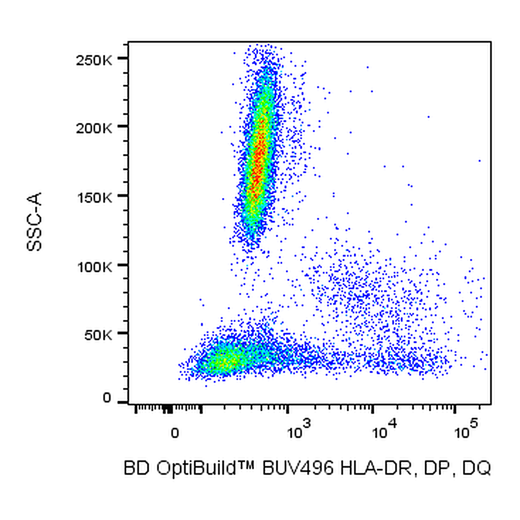 BD BUV496 Mouse Anti-Human HLA-DR, DP, DQ