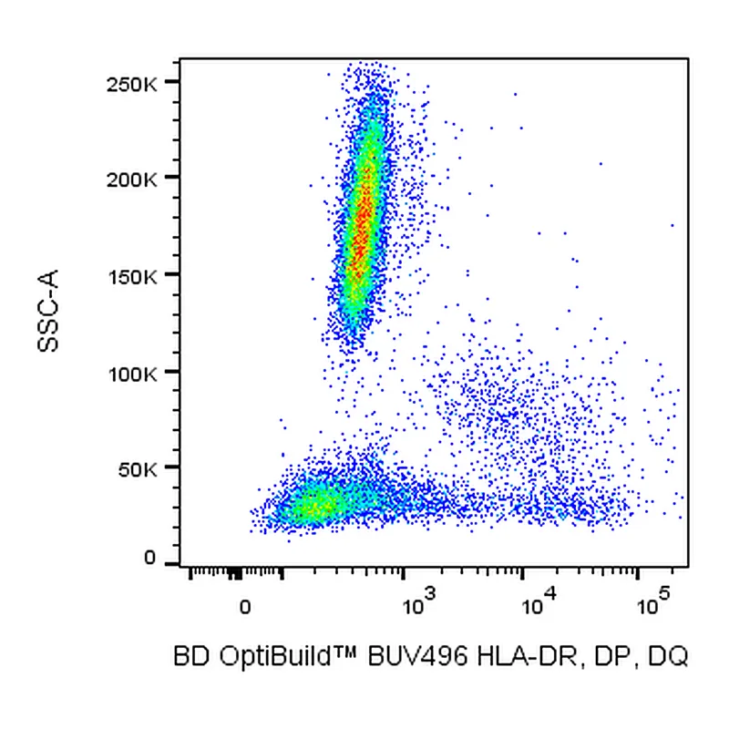 BD BUV496 Mouse Anti-Human HLA-DR, DP, DQ