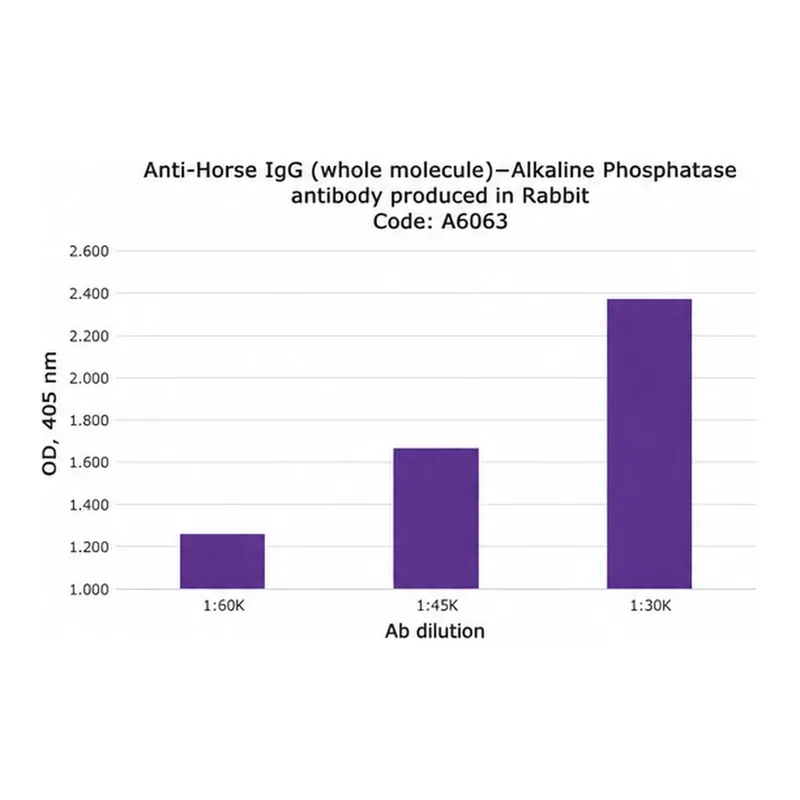 Merck Anti-Horse IgG (whole molecule)-Alkaline Phosphatase antibody produced in rabbit