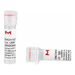 Merck MISSION(R) esiRNA