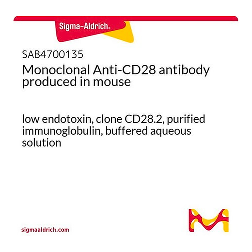 Merck Monoclonal Anti-CD28 antibody produced in mouse